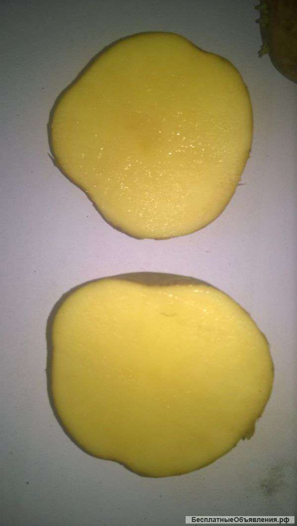 Продам Картофель