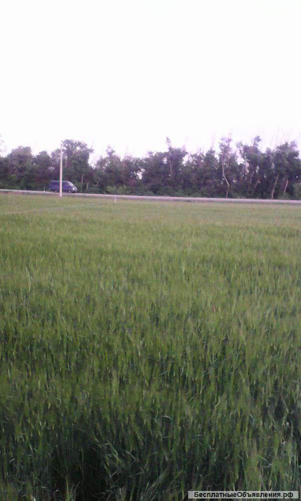 Дом 20кв.м., участок 25соток