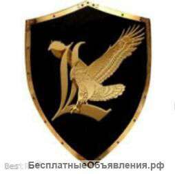 Детективное агентство Партнер, Сальников Роман
