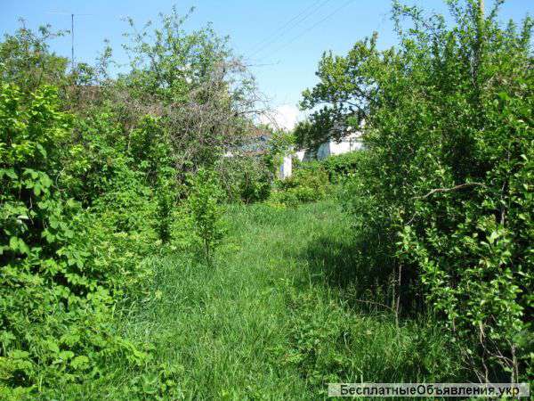 Сельский домик у реки