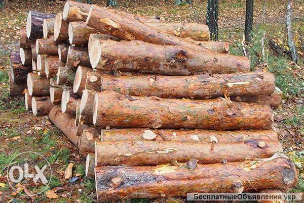 Дрова сосны, акации