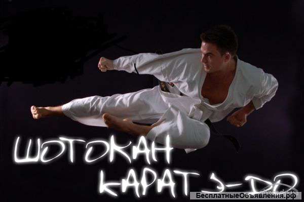 Шотокан каратэ до