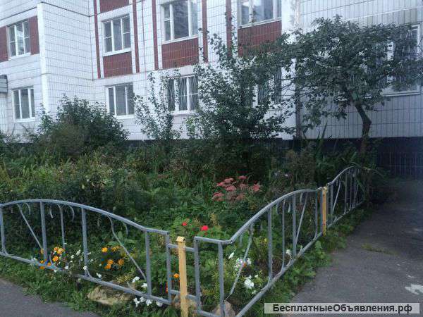 3-х комнатная квартира
