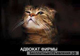 Адвокат