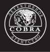 Детективное агентство Cobra