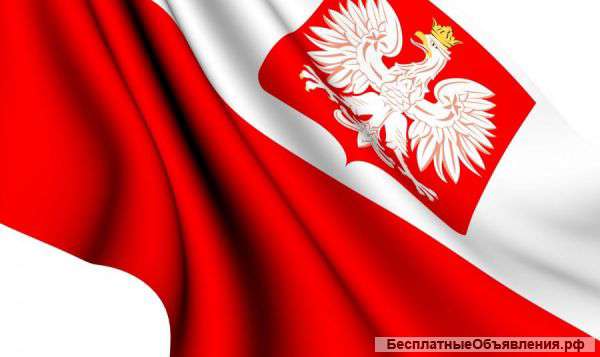 Бизнес в Польше