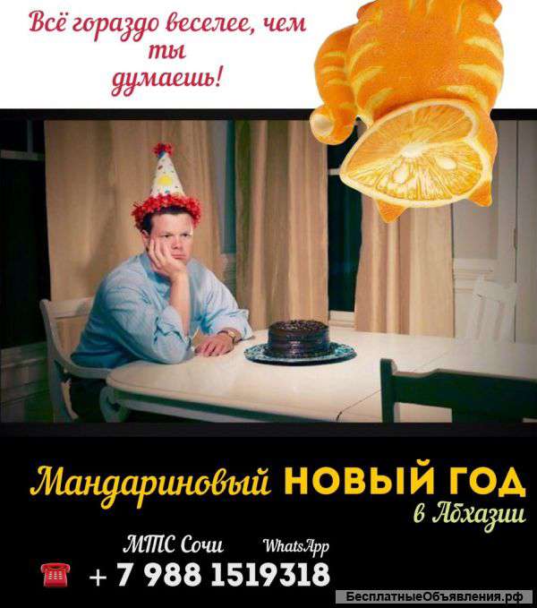 Новогодний Мандариновый тур в Абхазию