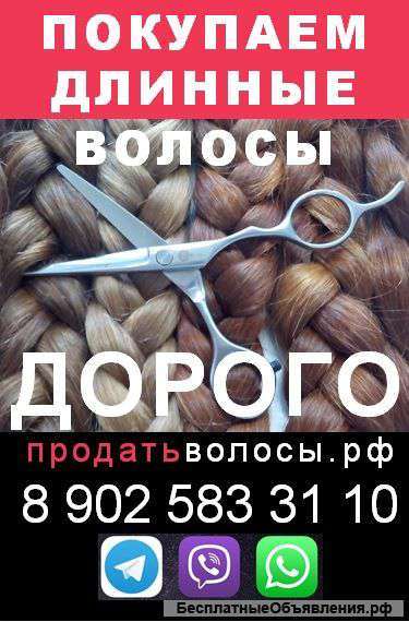 Дорого скупаем волосы в Мурманске