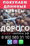 Дорого скупаем волосы в Мурманске