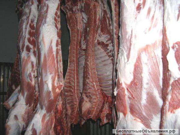 Говядина оптом напрямую с Мясокомбинатов РБ
