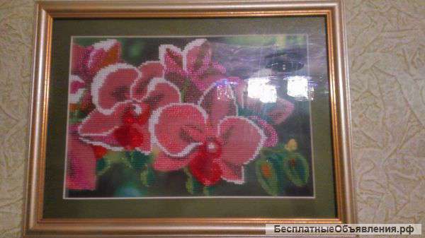 Картина "Орхидеи"