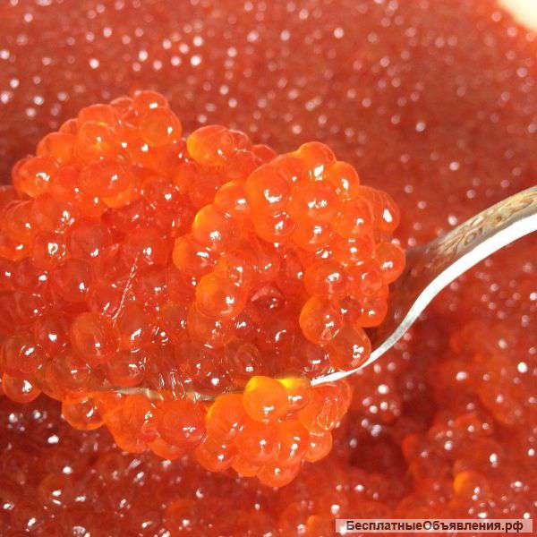 Красная икра Кеты