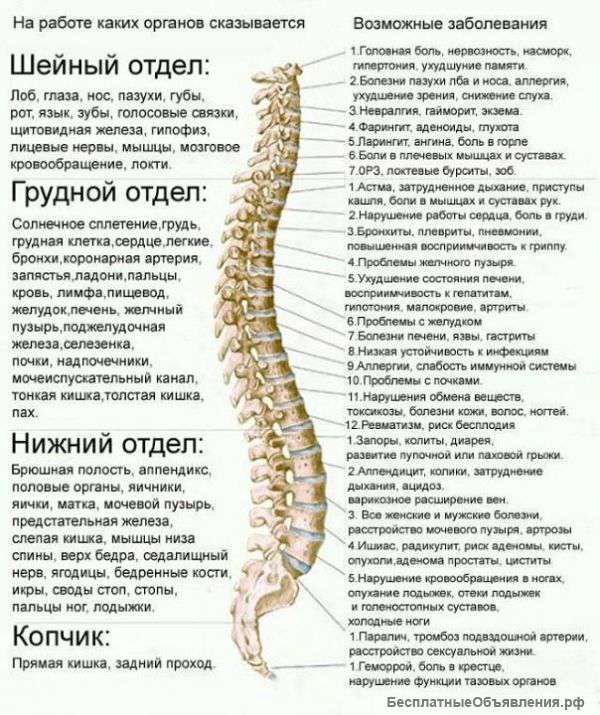 Позвоночник и суставы без боли