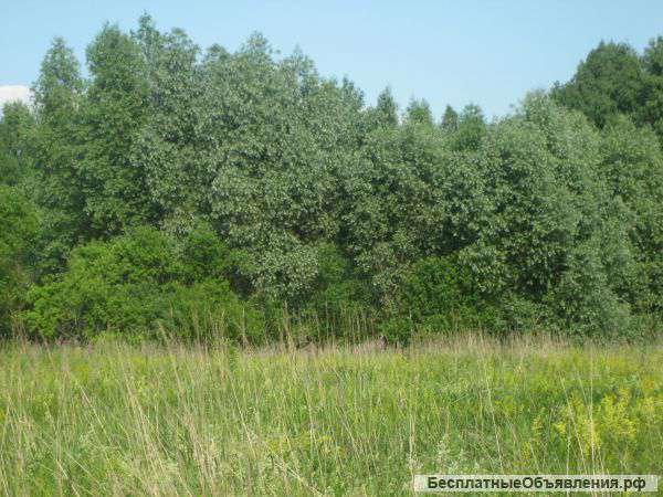 Земельный участок 1 га ИЖС