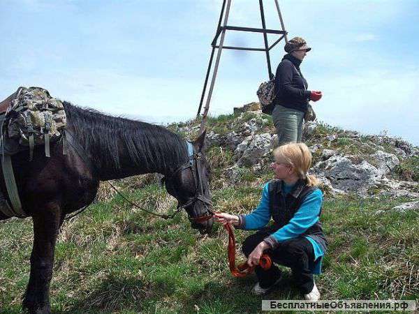 Новогодний и Рождественский конные туры в Адыгее