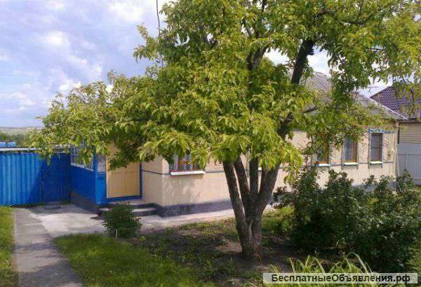 Дом в поселке Стрелица(в отличном состоянии)