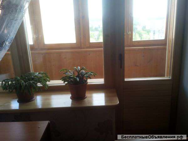 Деревянные евро-окна