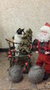 Пряжа из козьего пуха ручного прядения