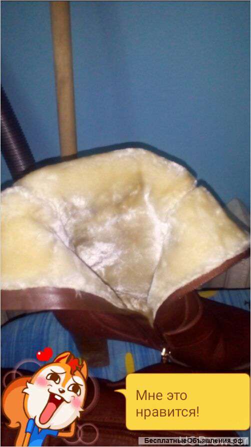 Новые сапоги