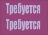 В компанию ТS требуется помощник руководителя