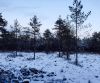 Участок 18 сот. или по 9 сот.