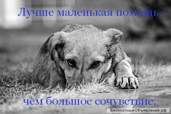 Помогу материально