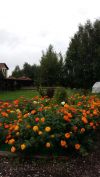 Земельный участок 15 соток д.Устиновка, ул.Весенняя, Раменский р-н