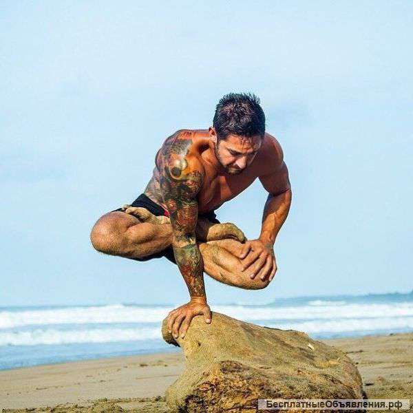 Птичку жалко