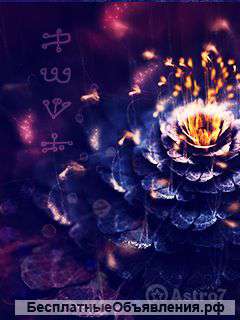 Подскажу в решении жизненных проблем