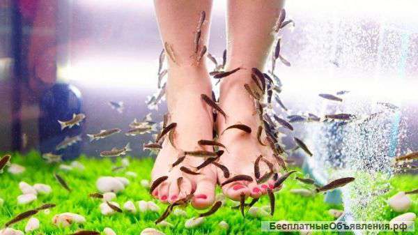 Пилинг рыбками