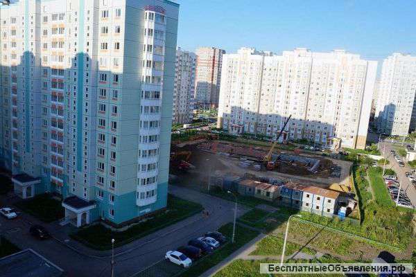 Ремонт и строительство