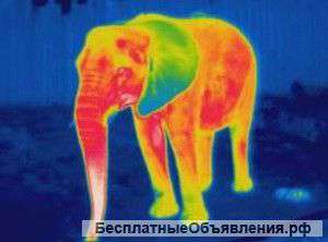 Выявление утечек тепла тепловизором в Москве и Московской области