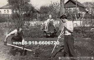 Вскапываем огороды и участки Краснодар