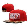Кепки Obey