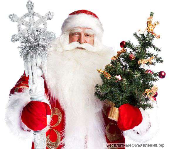 Дед Мороз и Снегурочка на дом