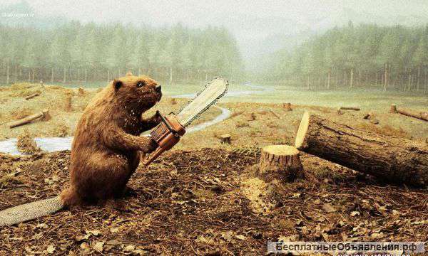 Садовые работы