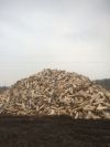Дрова колотые