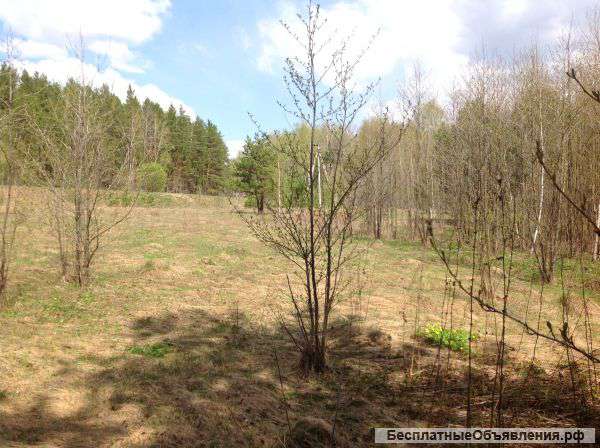 Участки. Тульская обл. Алексинский р-н. д.Бунырево