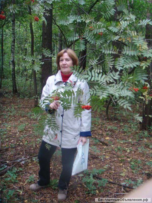 Встретить из школы