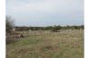 Участок 12 соток, 1250000р. под сад/огород, членская книжка