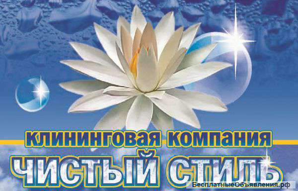 Уборка, мойка окон, химчистка