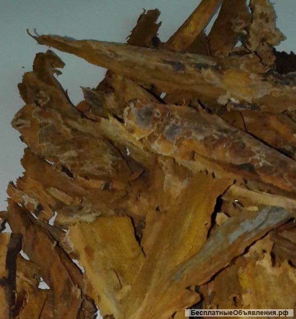 Помощь щитовидной железе кора усохшей вишни