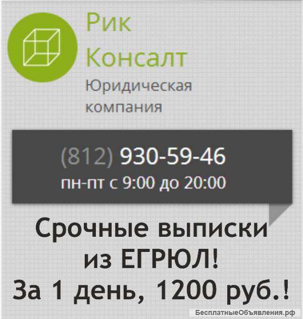 Выписка из ЕГРЮЛ за 1 день