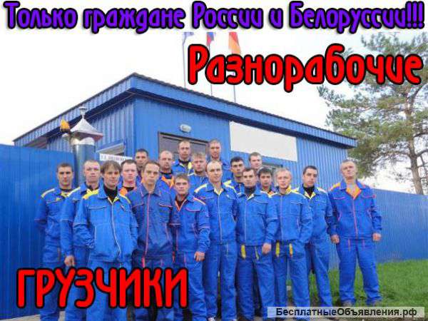 Разнорабочие-Грузчики.Бригада спецов.