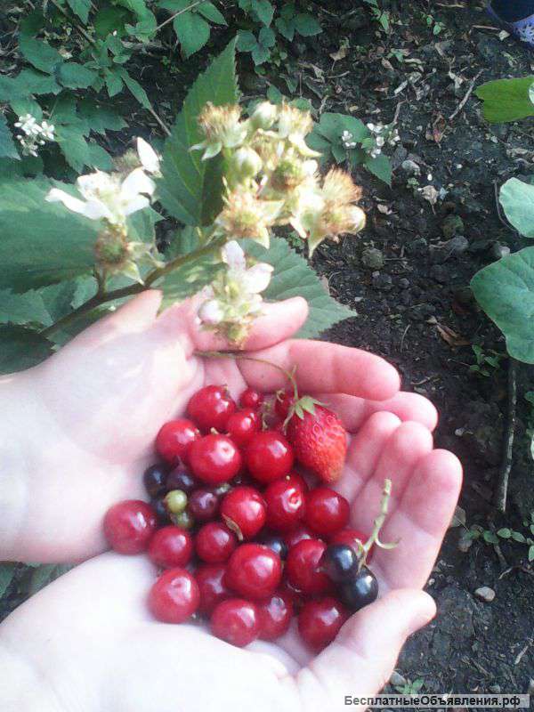 Капитальный дом с теплой мансардой