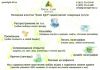 Работу менеджером по реализациии проектов