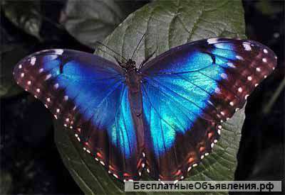 Мечтариум - подари детям мечту