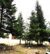 Собственник продаю СЕМЬ соток ижс в восьми км от Петербурга
