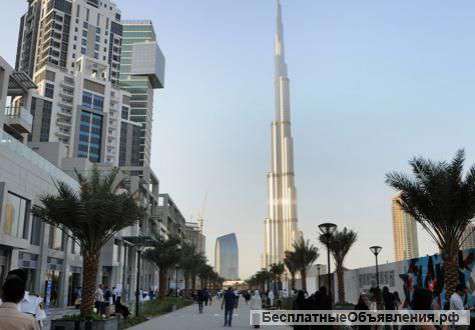 Лицензия город Дубай