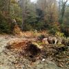 Участок 7 соток